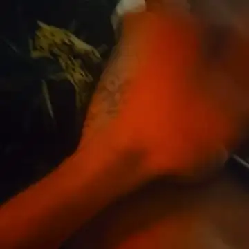 BlnAktivGay online show from March 2026 02:07:01 AM