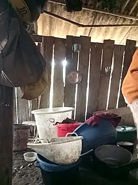 Bling sexy online show from March 2026 01:17:02 AM