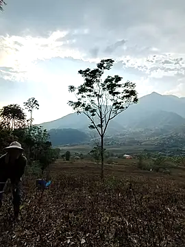 Jooj- online show from March 2026 09:00:02 AM