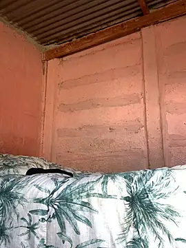 taitaimont online show from February 2026 12:16:01 PM