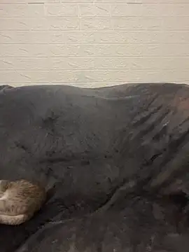 AlisRoxy online show from March 2026 09:00:02 PM