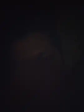 Pravin9562 online show from March 2026 07:10:02 PM