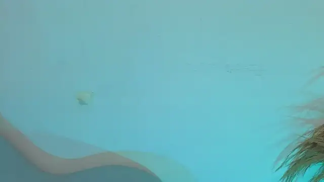 Snapshot of fransheskarossi chatting on June 2026 11:27:01 AM fransheskarossi online show from June 2026 11:27:01 AM