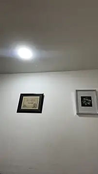 Alexander Connor online show from May 2026 12:09:01 PM
