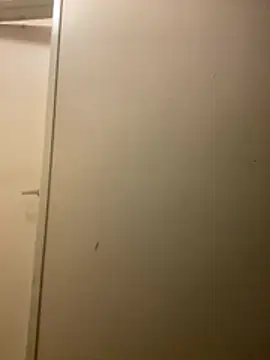 PERKS606 online show from February 2026 03:05:01 AM