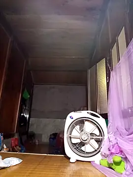 Lioe koei online show from April 2026 02:42:01 AM