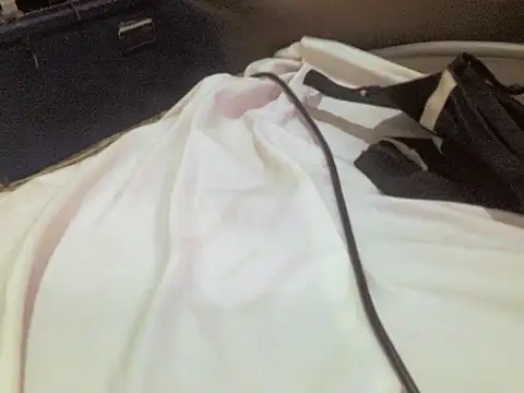 champers1234 online show from February 2026 12:49:01 PM