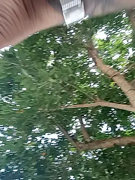 roxxy white online show from February 2026 05:43:01 PM