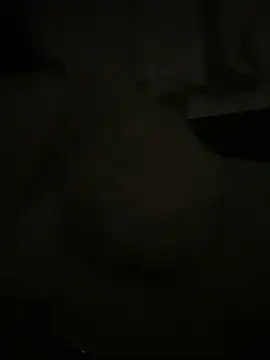 Snapshot of japosamel chatting on May 2026 11:58:02 PM japosamel online show from May 2026 11:58:02 PM