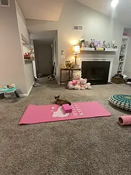 Pink mink21 online show from February 2026 03:48:01 AM