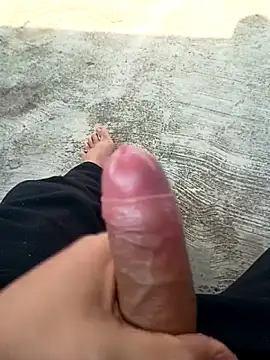 Damilalo online show from April 2026 02:09:02 PM