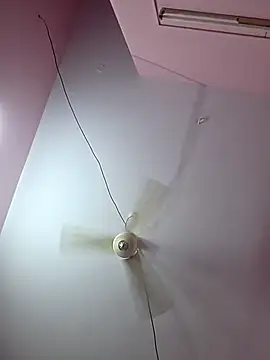 pavso1438 online show from January 2026 12:09:02 PM