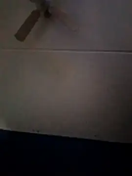 Snapshot of dewimp1 chatting on February 2026 10:13:02 AM dewimp1 online show from February 2026 10:13:02 AM