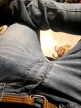 MRdxxx444 online show from March 2026 04:23:01 PM