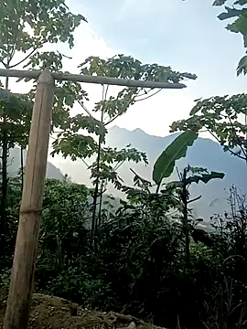 cutebobi online show from March 2026 09:55:02 AM