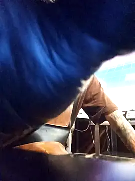 blackninja66 online show from March 2026 02:27:01 AM