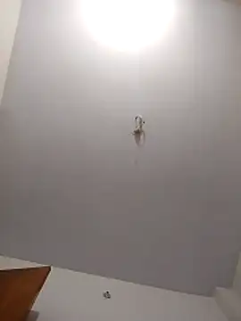 maisamim2 online show from March 2026 03:01:01 AM