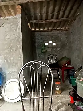 Nuna 689 online show from April 2026 03:35:01 AM