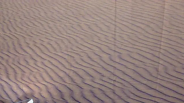 BusyB1983 online show from March 2026 12:44:02 AM