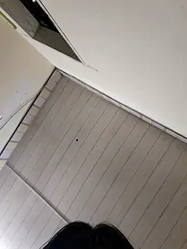 Pinks cool online show from April 2026 03:30:01 AM