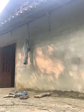 patry33 online show from April 2026 01:32:02 AM