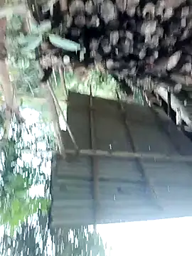 meomeo30 online show from February 2026 08:36:02 AM