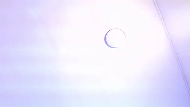 TINY TAY online show from February 2026 12:05:01 PM