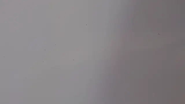 adara cute 69 online show from February 2026 06:15:02 PM