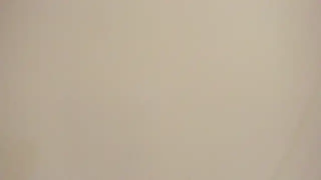 Melanie  Evans online show from May 2026 10:58:01 AM