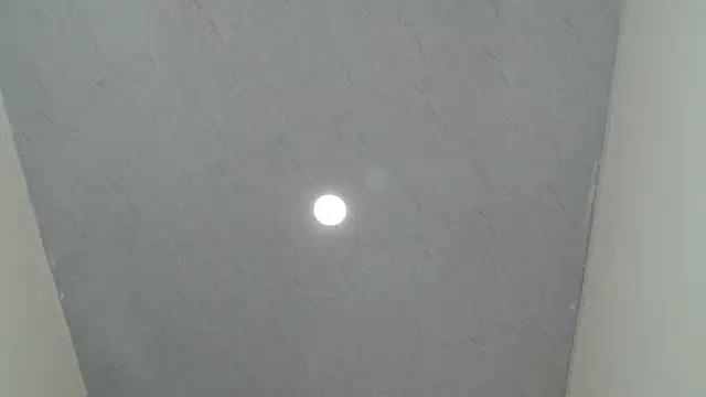 kendal1  online show from April 2026 03:57:01 AM