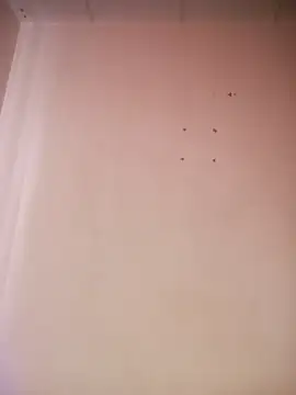  aish a online show from March 2026 08:09:01 PM