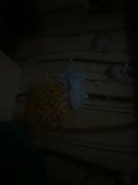 dragon ndragos online show from February 2026 10:43:02 PM