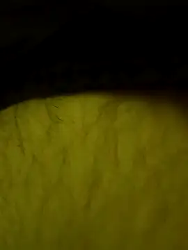 Snapshot of jajajaja322 chatting on February 2026 09:25:02 PM jajajaja322 online show from February 2026 09:25:02 PM