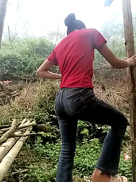 Hoa-tuylip online show from March 2026 02:11:01 AM