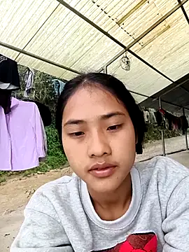 Hoa-tuylip online show from March 2026 07:23:01 AM