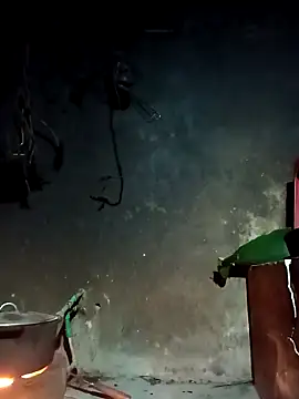 Hoa-tuylip online show from March 2026 10:17:01 PM