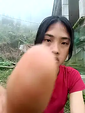 Hoa-tuylip online show from March 2026 12:45:02 AM