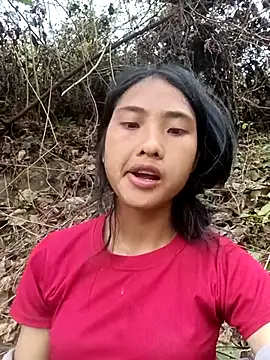 Hoa-tuylip online show from March 2026 02:41:03 AM