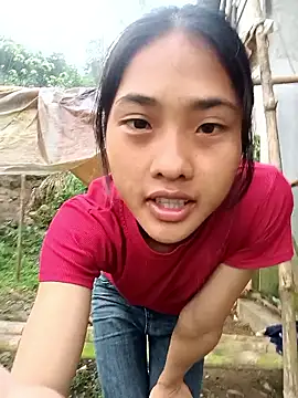 Hoa-tuylip online show from March 2026 12:08:04 AM