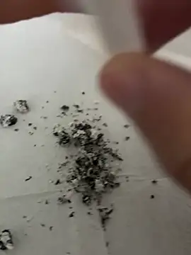 dickdondra online show from February 2026 11:42:02 AM