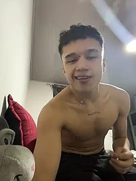Snapshot of Dominik_Souza chatting on June 2026 01:45:02 AM Dominik Souza online show from June 2026 01:45:02 AM