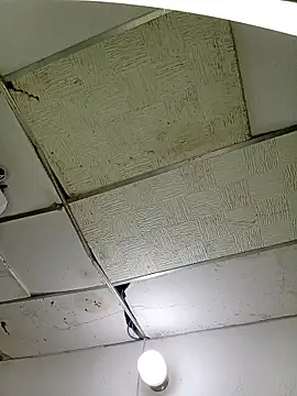 angela sex x online show from February 2026 12:34:02 AM