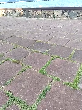 Gustavo52367 online show from February 2026 07:27:01 PM