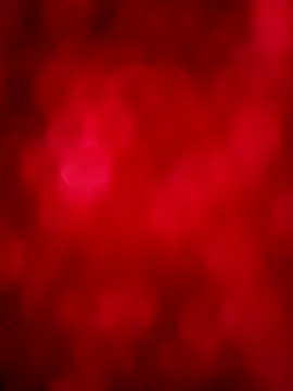 Snapshot of negrim10 chatting on February 2026 03:56:01 PM negrim10 online show from February 2026 03:56:01 PM