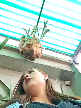 Snapshot of katty_42 chatting on February 2026 08:41:02 PM katty 42 online show from February 2026 08:41:02 PM