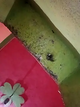 Snapshot of Riyakumari_hot66 chatting on April 2026 04:02:01 PM Riyakumari hot66 online show from April 2026 04:02:01 PM