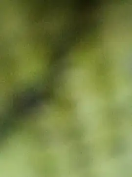 Babli sharma online show from April 2026 08:10:01 AM