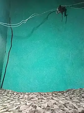 Babli sharma online show from May 2026 12:22:02 PM