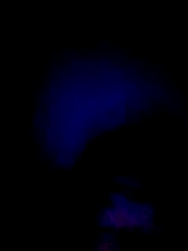 061190 online show from February 2026 03:44:01 PM