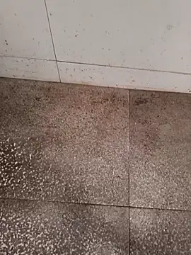 GTX-8194 online show from February 2026 06:27:01 AM